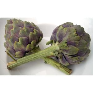 Value Time Dollar - Artichoke Purple Large