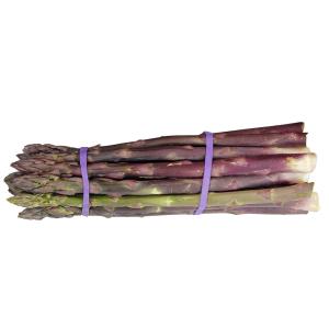 Welchito - Asparagus Purple