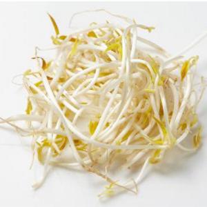 Bean Sprouts