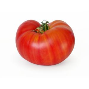Fresh Produce - Beefsteak Tomatoes