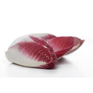 Belgian Endive Red