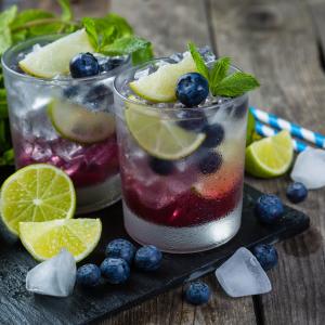 Blueberry Mojito Mocktail - Urban Meadow Blueberry Mojito Mocktail - Urban Meadow