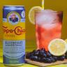 Blueberry Sparkler - Topo Chico