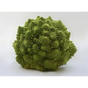 Undefined - Broccoflower