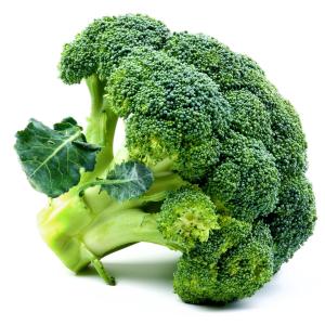 Broccoli Buds