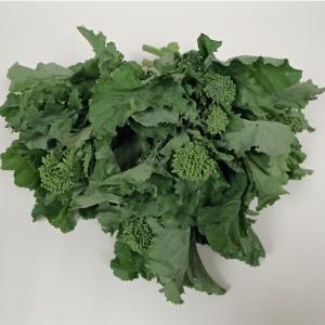 Broccoli Rabe