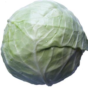 Fresh Produce - Cabbage Dutch White