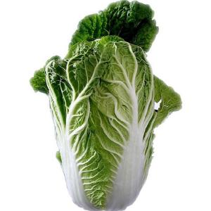 Produce - Cabbage Nappa