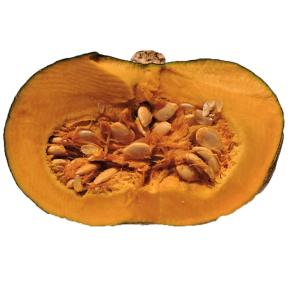 Calabaza