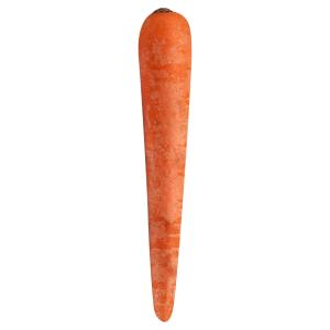 Carrot Bunch