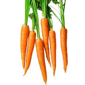 Carrot French