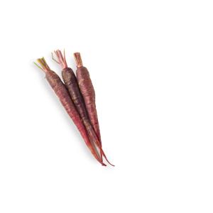 Carrots Maroon