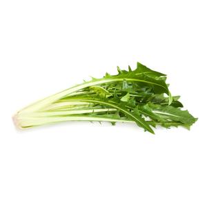 Produce - Lettuce Catalogna