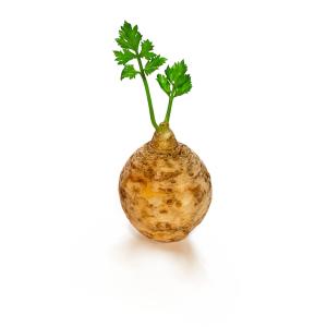 Fresh Produce - Celery Root with Leaves