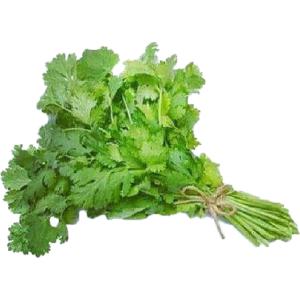 Produce - Cilantro