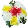 COUNTRY BLOOMS BOUQUET