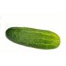 Fresh Produce - Cucumber Kirby 1 2 Box