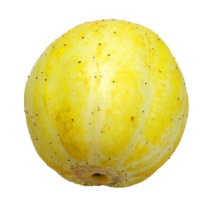 Fresh Produce - Cucumber Lemon