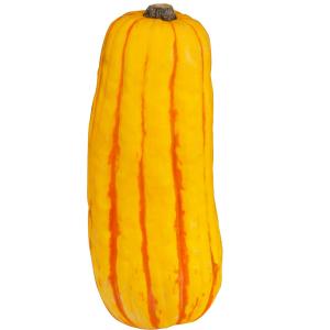 Organic Produce - Delicata Squash