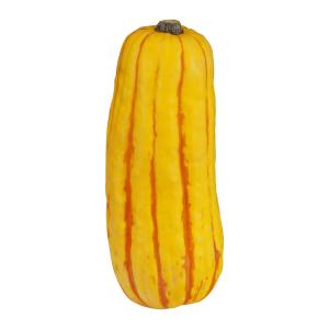 Organic Produce - Delicata Squash