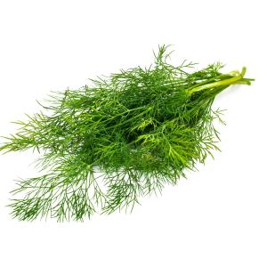 Fresh Herbs - Dill Tagged