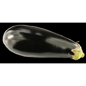 Fresh Produce - Eggplant