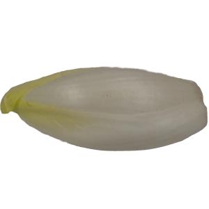 Produce - Endive