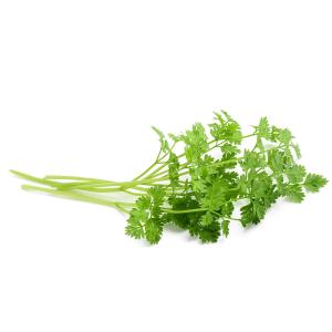 Fresh Herbs - Herbs Chervil