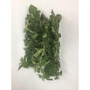 Fresh Herbs - Herbs Marjoram