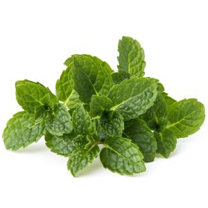 Fresh Produce - Herbs Mint