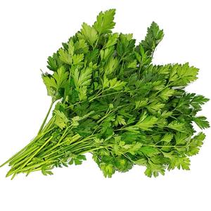 Earthbound Farm - Italian Parsley