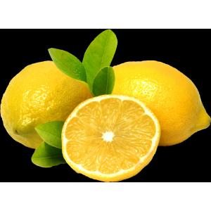 Fresh Produce - Lemons Imported