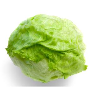 Fresh Produce - Lettuce Iceberg