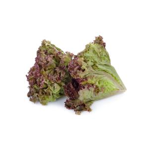 Lettuce Red Leaf Eastern