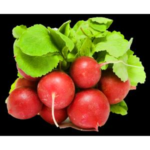 Fresh Produce - Loose Radish