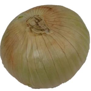 Fresh Produce - Onion Maui