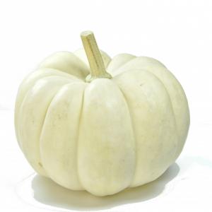 Fresh Produce - Mini White Pumpkins