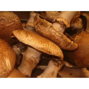 Fresh Produce - Mushroom Portabella Bulk