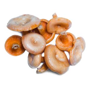 Fresh Produce - Mushroom Saffron Milk Cap