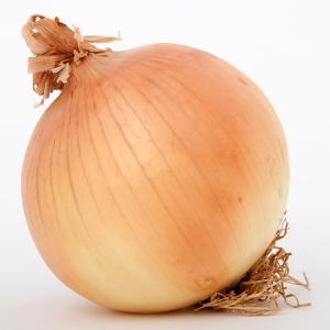 Fresh Produce - Onion Bulb