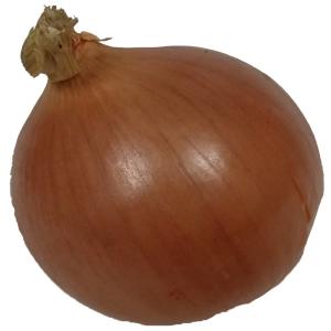 Fresh Produce - Onion Yellow lg