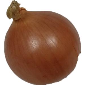 Fresh Produce - Onion Yellow lg