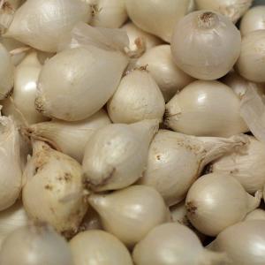 Fresh Produce - Onions Pearl