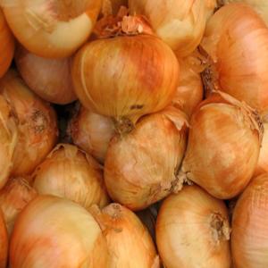 Fresh Produce - Onions Vidalia