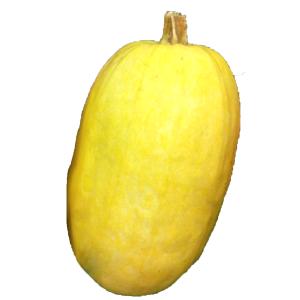 Fresh Produce - Org Spaghetti Squash