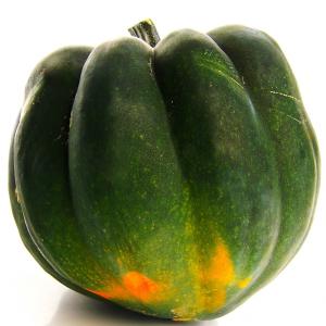 Fresh Produce - Organic Acorn Squash