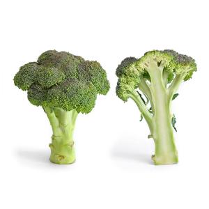 Fresh Produce - Organic Broccoli