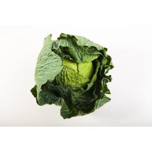 Produce - Organic Green Cabbage