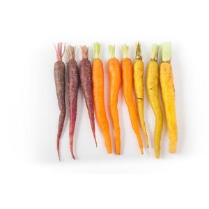 Fresh Produce - Organic Multi Colored Carrots