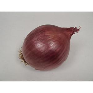 Fresh Produce - Organic Onion Red